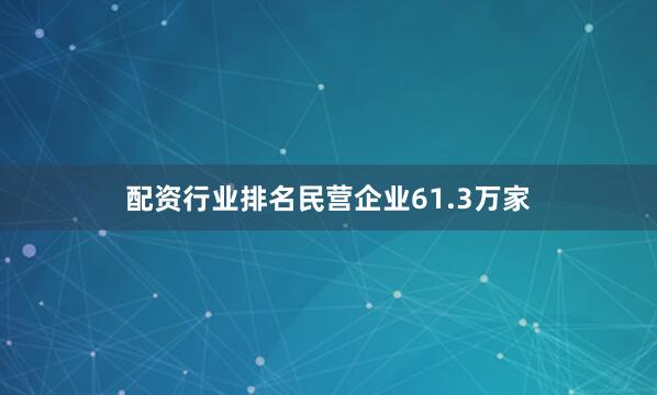 配资行业排名民营企业61.3万家