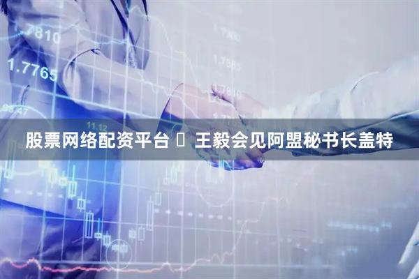 股票网络配资平台 ​王毅会见阿盟秘书长盖特