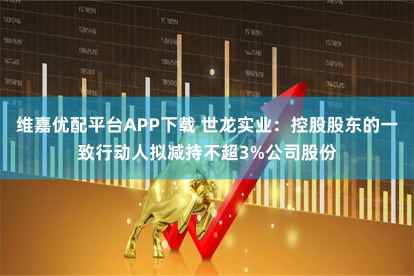 维嘉优配平台APP下载 世龙实业：控股股东的一致行动人拟减持不超3%公司股份