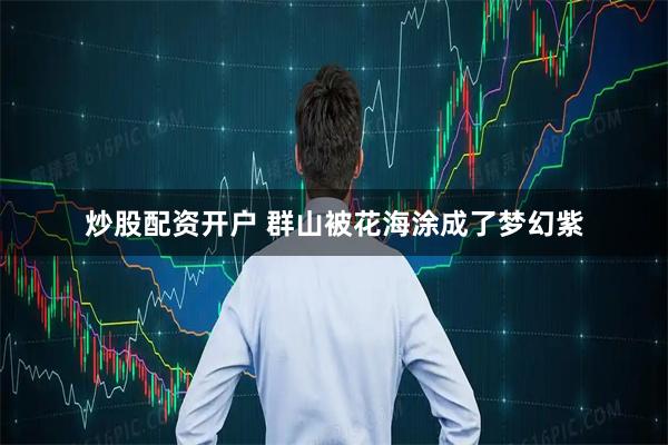 炒股配资开户 群山被花海涂成了梦幻紫