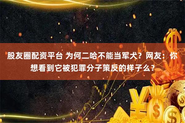 股友圈配资平台 为何二哈不能当军犬？网友：你想看到它被犯罪分子策反的样子么？